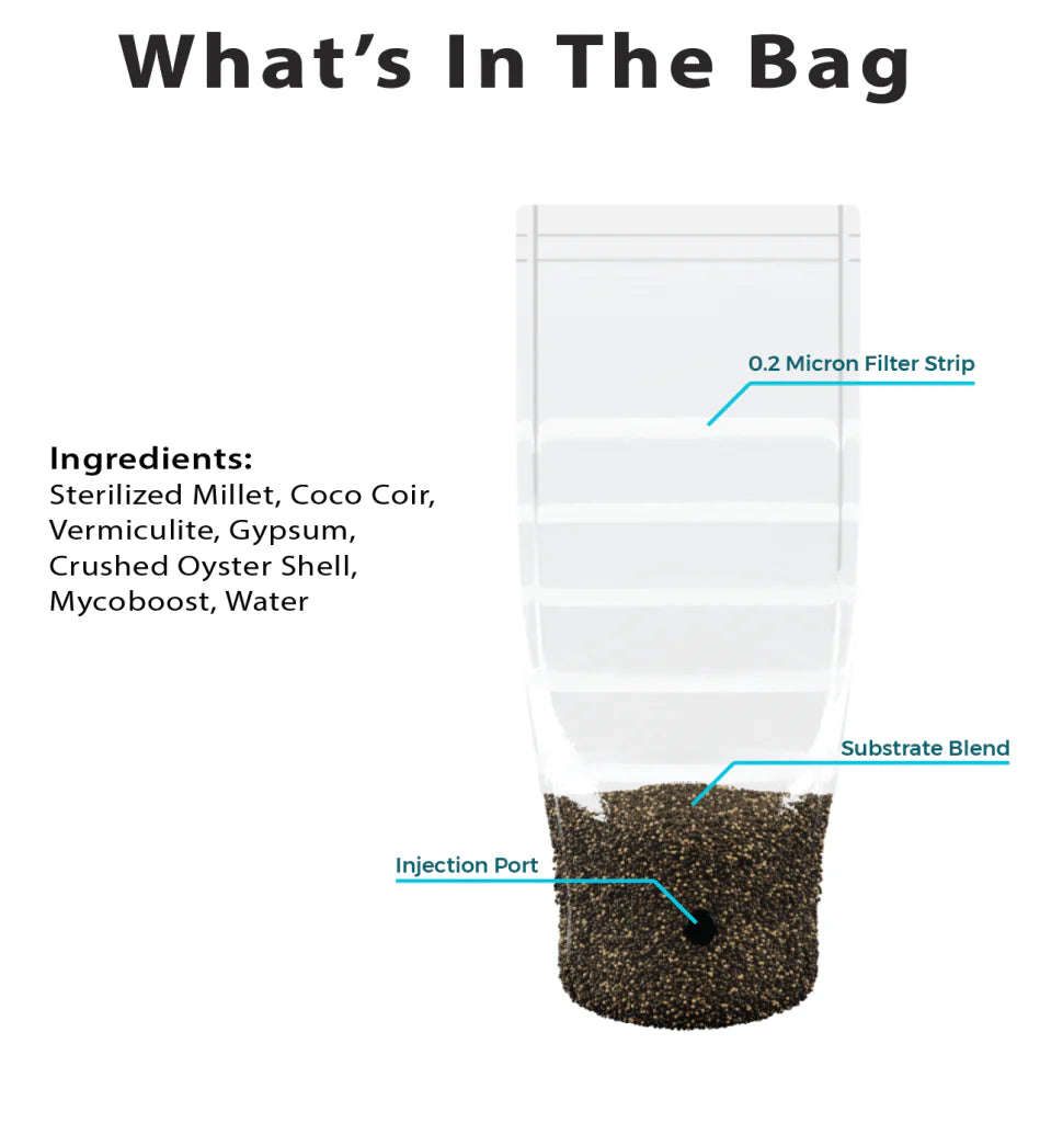 MIKEADELICS Tyson V3 Heavyweight Mushroom Grow Bag